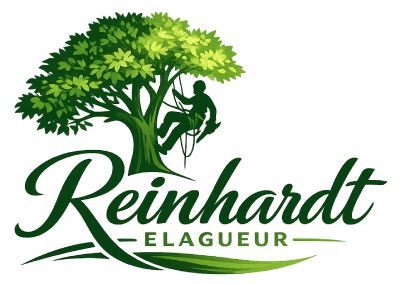 logo Artisan Reinhardt